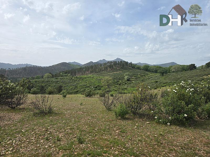Venta de terreno en Cáceres