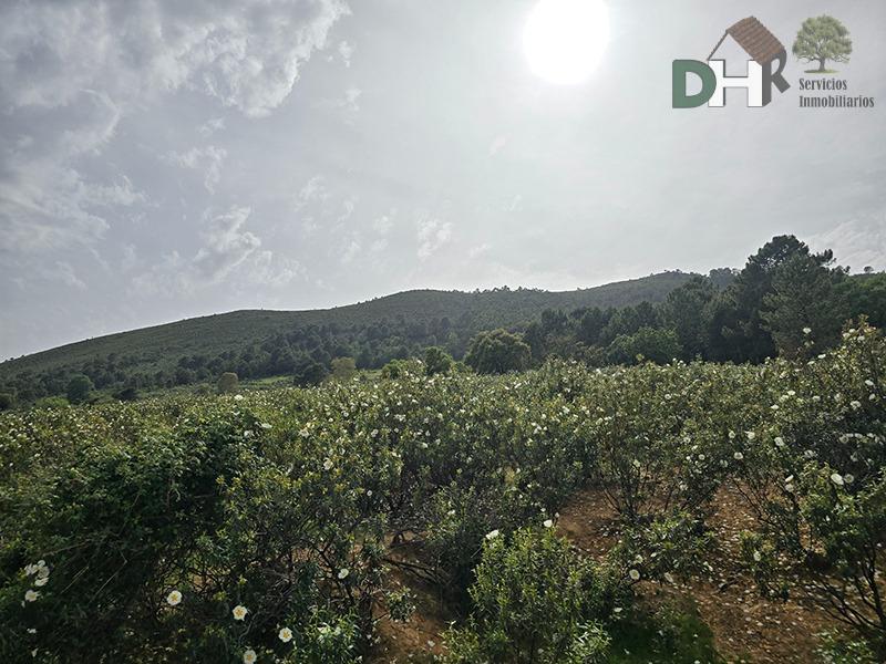 Venta de terreno en Cáceres