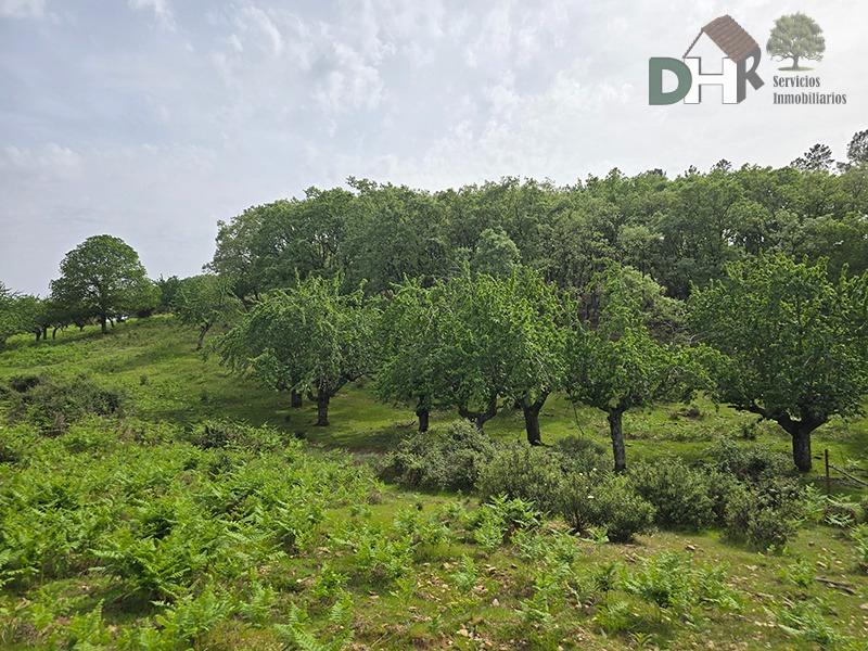 Venta de terreno en Cáceres