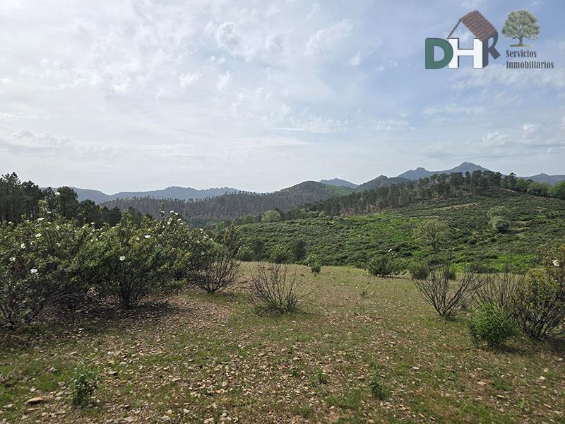 Venta de terreno en Cáceres
