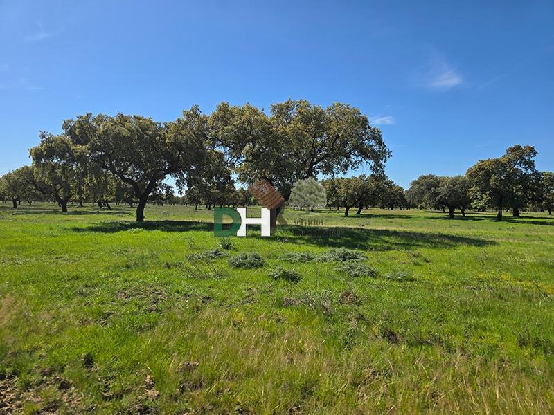 Venta de terreno en Badajoz