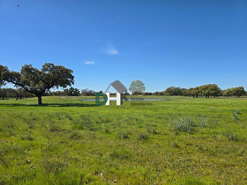 Venta de terreno en Badajoz