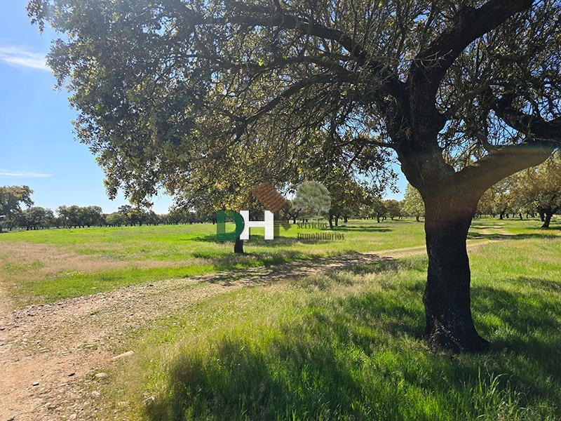 Venta de terreno en Badajoz