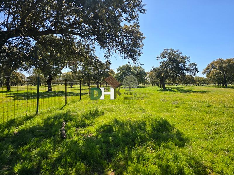 Venta de terreno en Badajoz