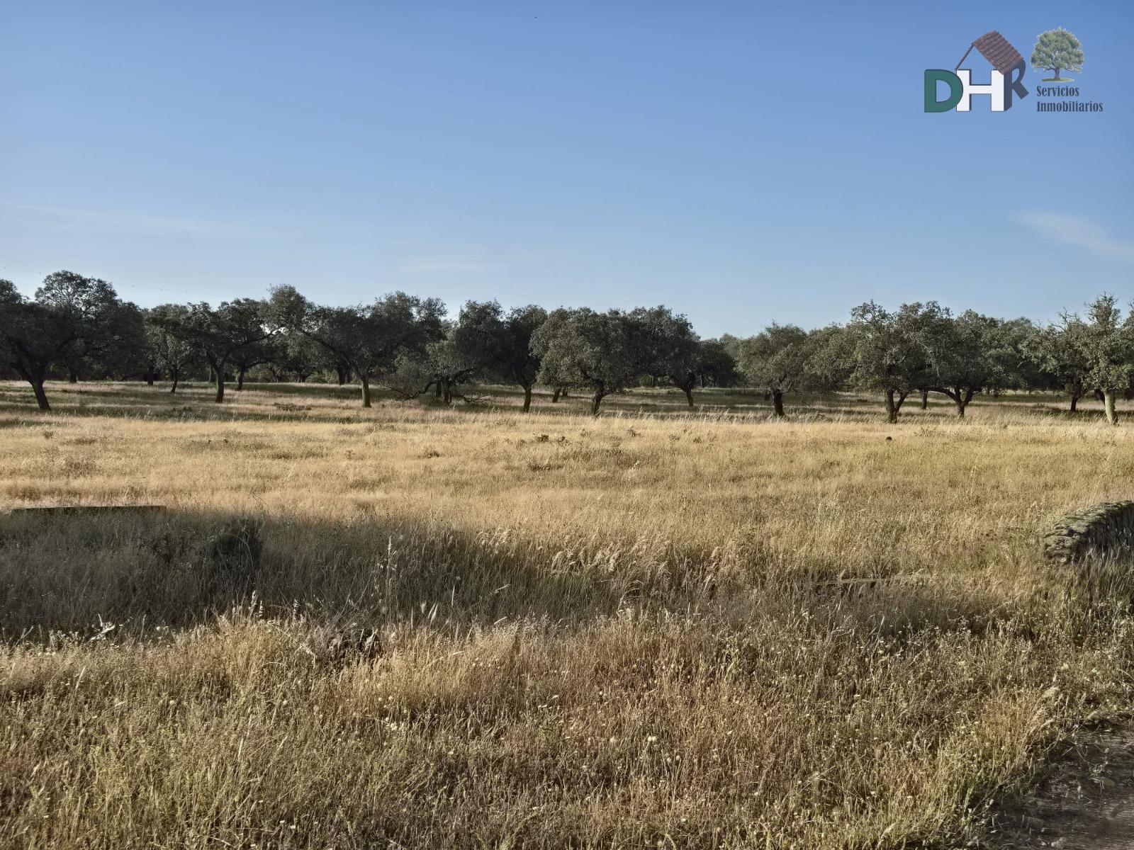Venta de terreno en Badajoz
