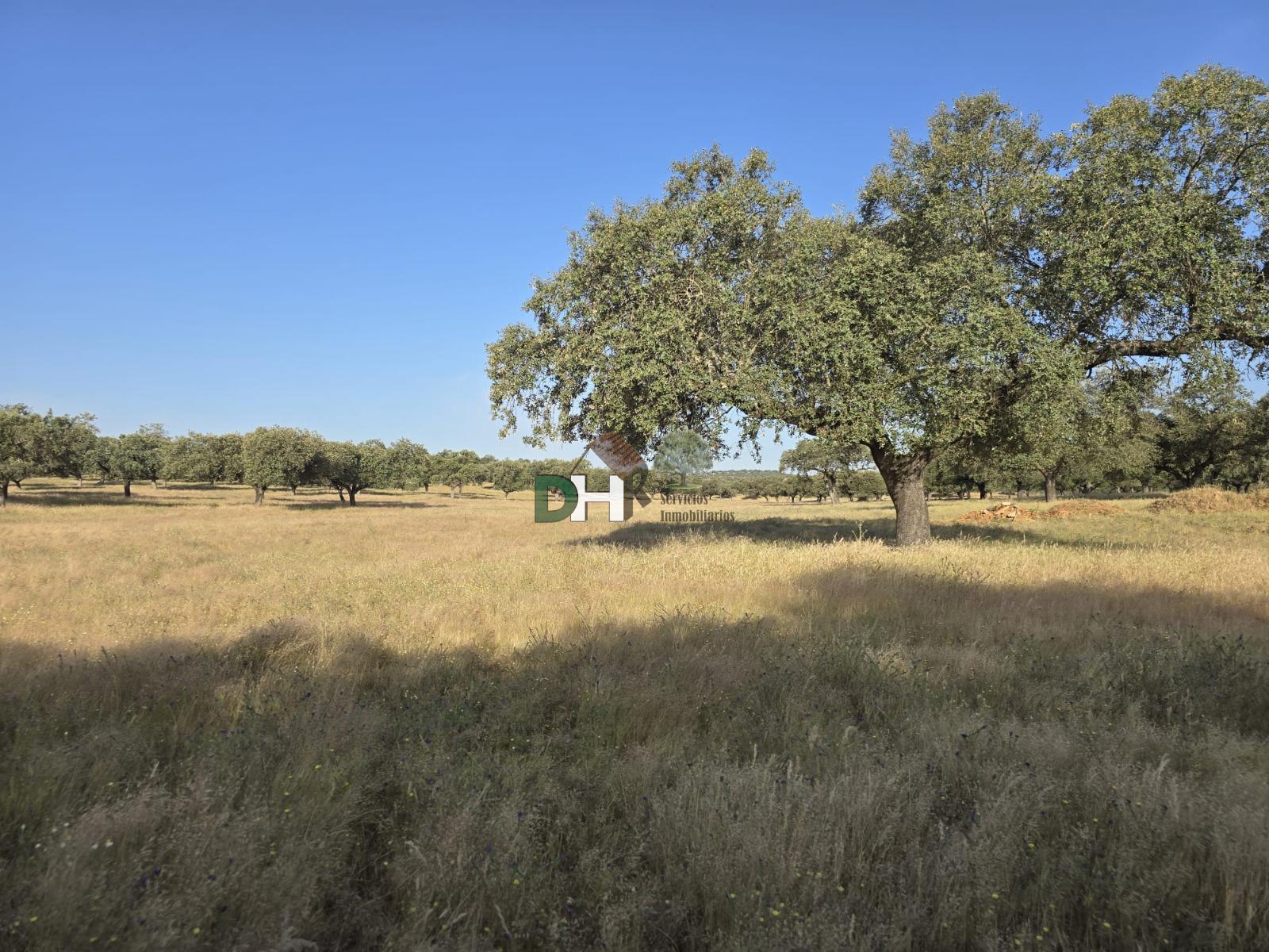 Venta de terreno en Badajoz