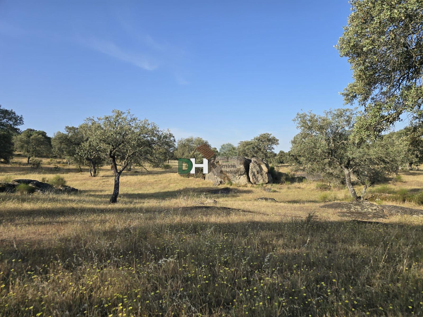 Venta de terreno en Badajoz