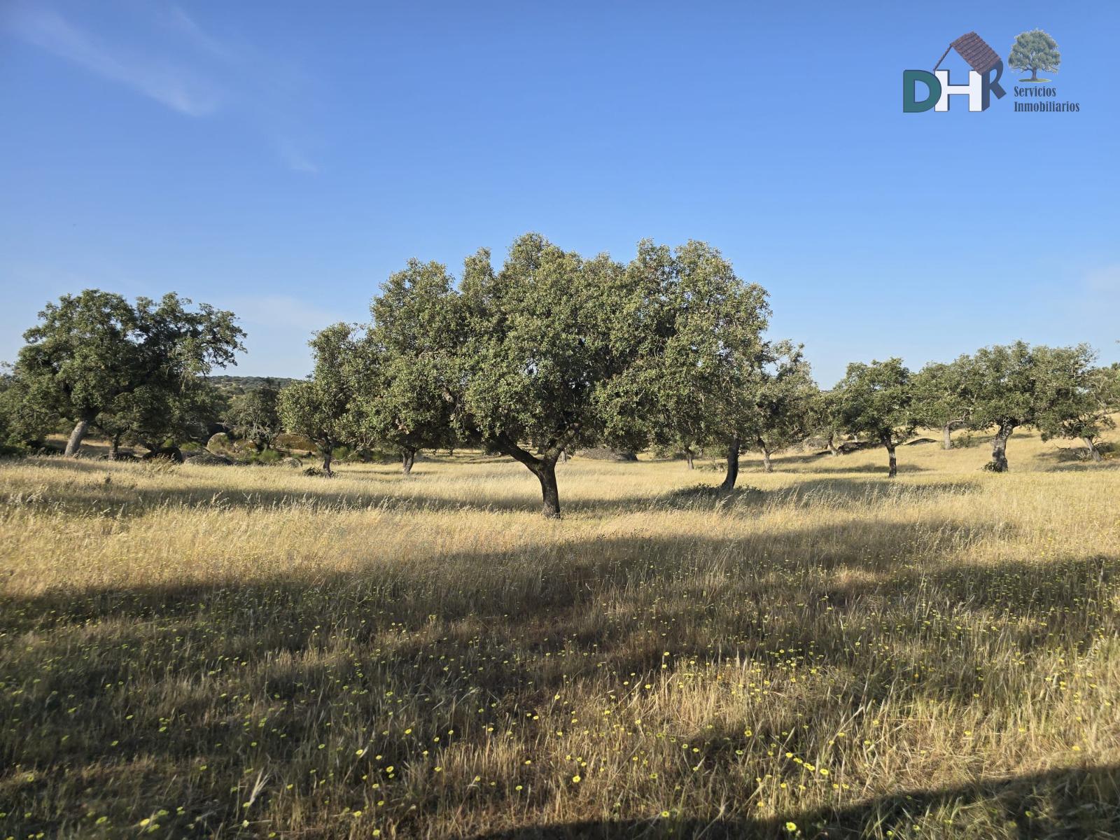 Venta de terreno en Badajoz