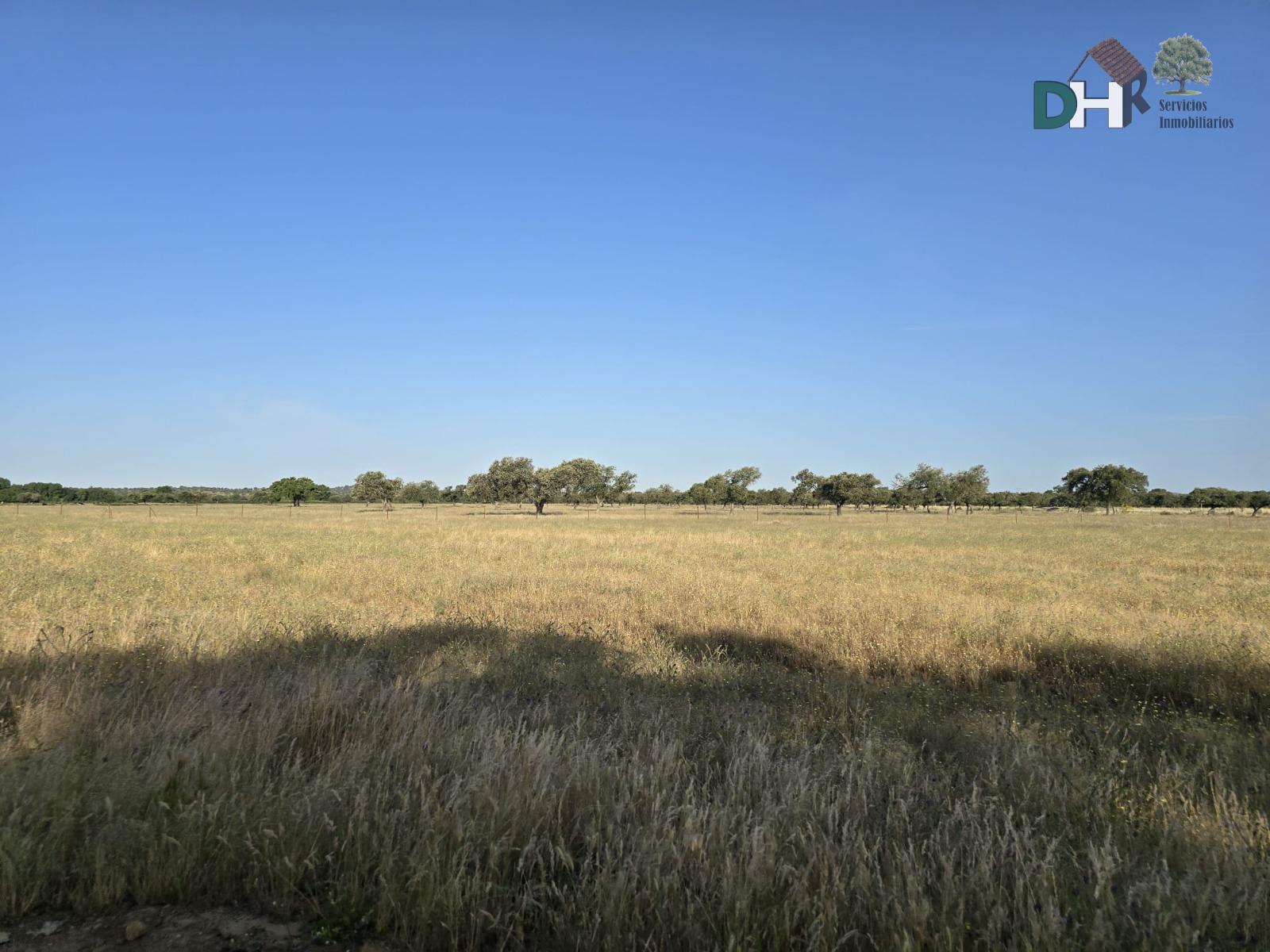 Venta de terreno en Badajoz