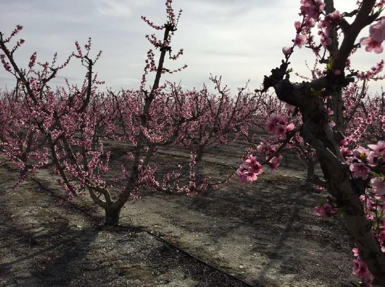 Venta de terreno en Cáceres