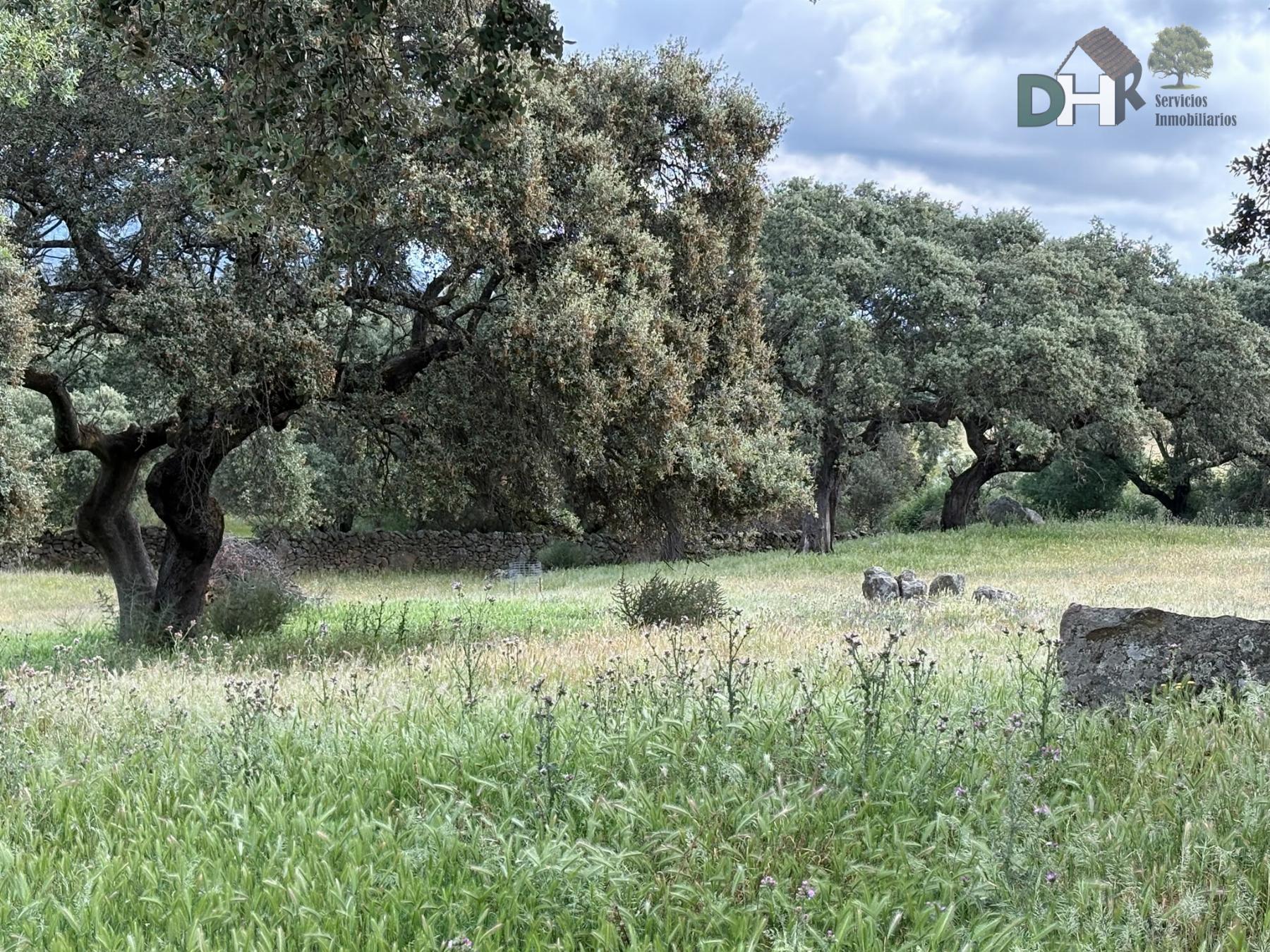 Venta de terreno en Cáceres