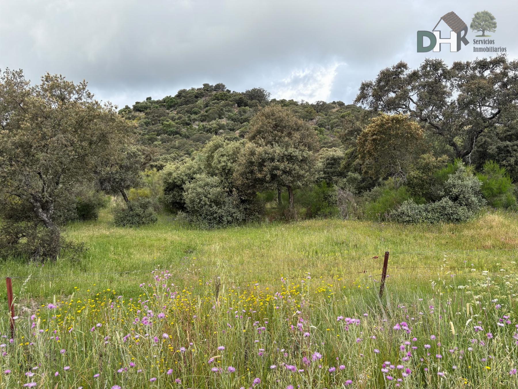 Venta de terreno en Cáceres