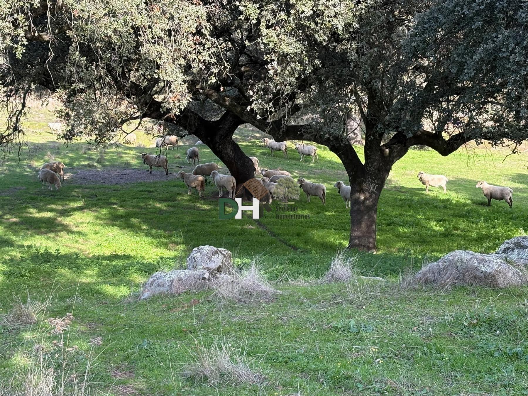 Venta de terreno en Cáceres