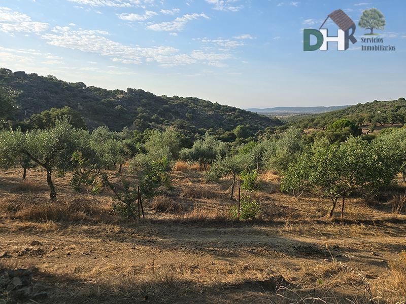 Venta de terreno en Badajoz
