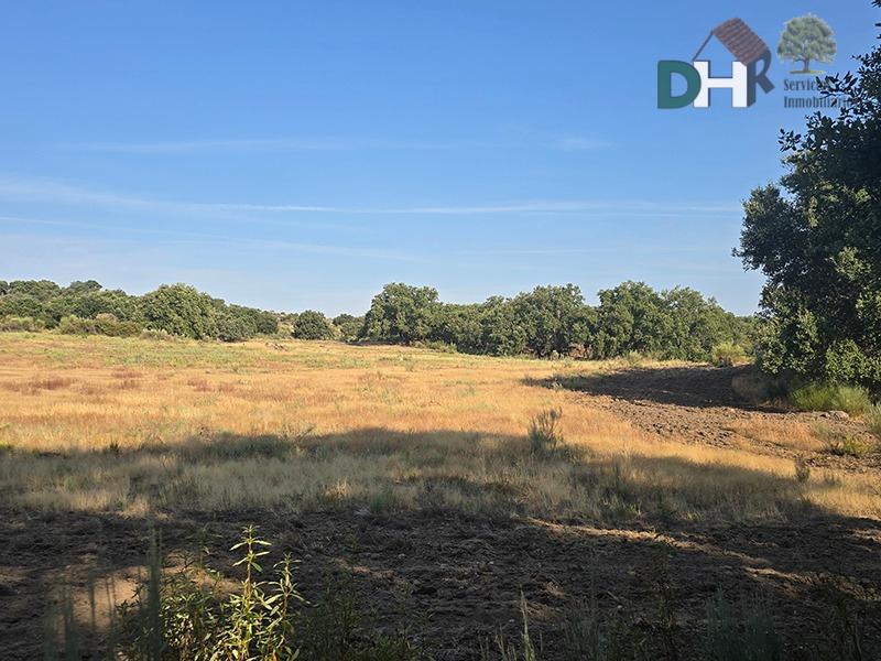 Venta de terreno en Badajoz