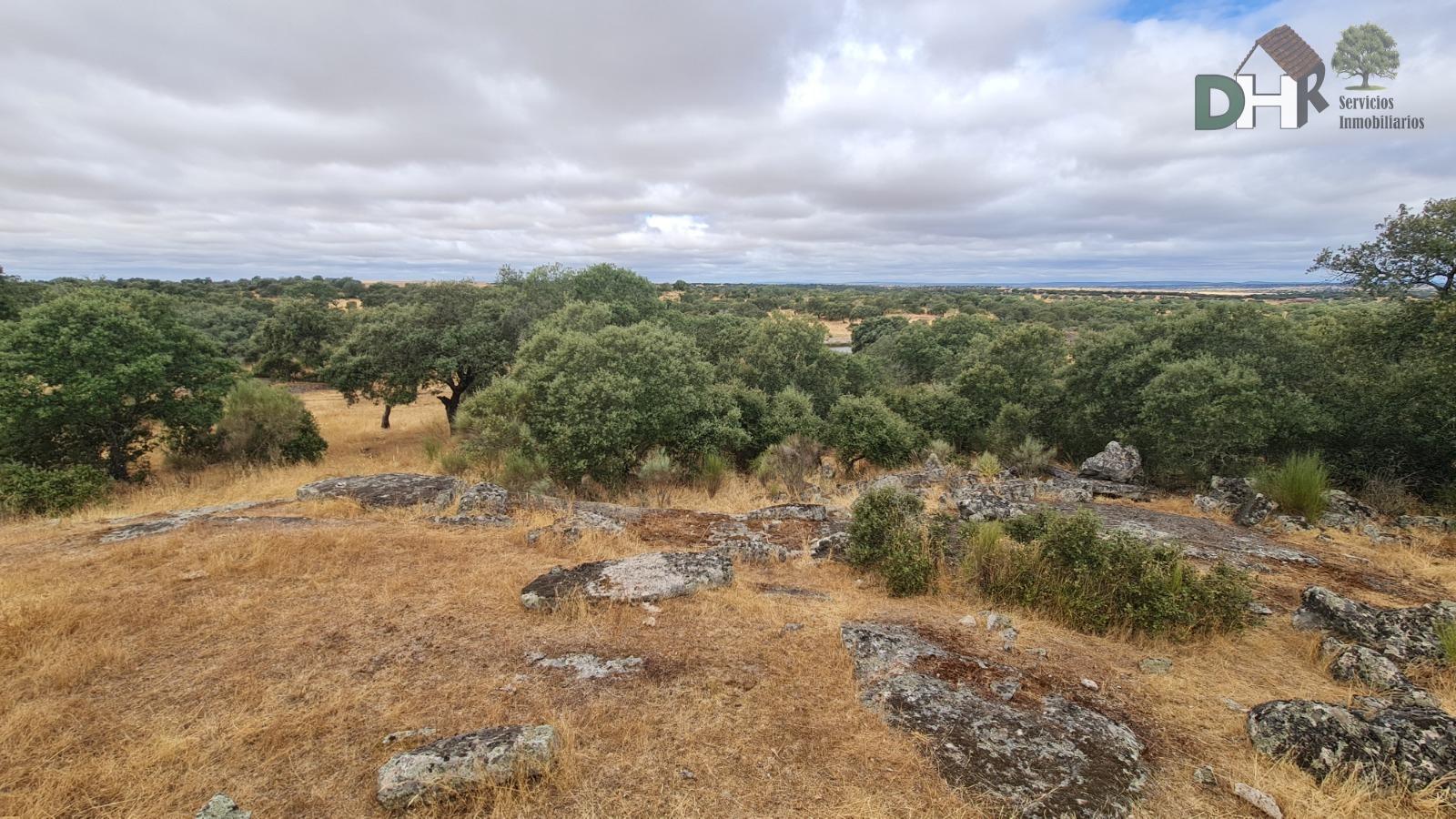 Venta de terreno en Cáceres
