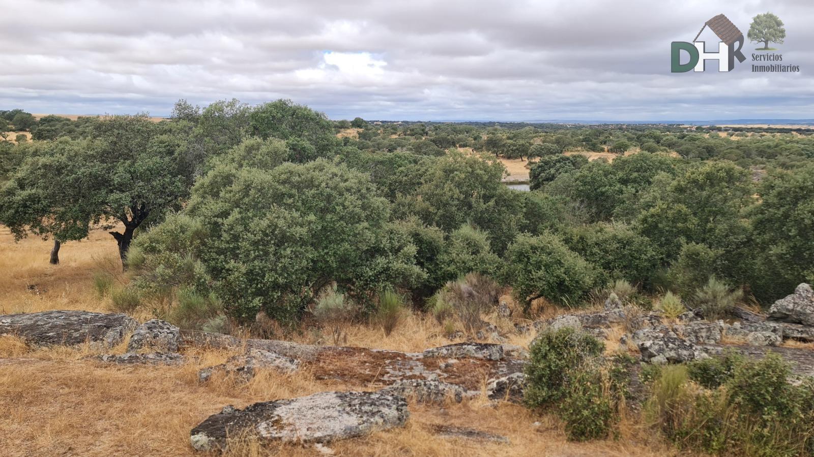 Venta de terreno en Cáceres