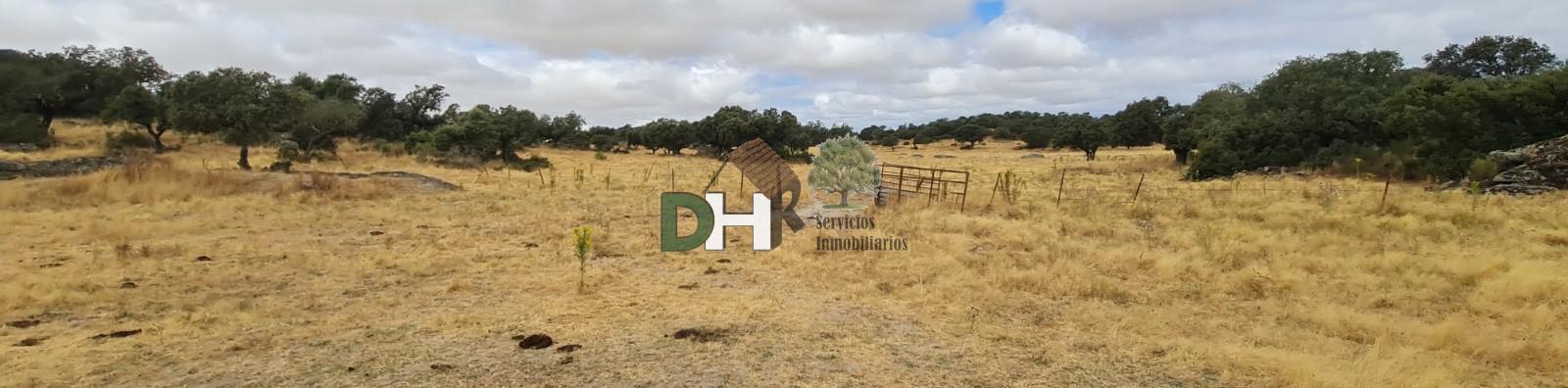 Venta de terreno en Cáceres