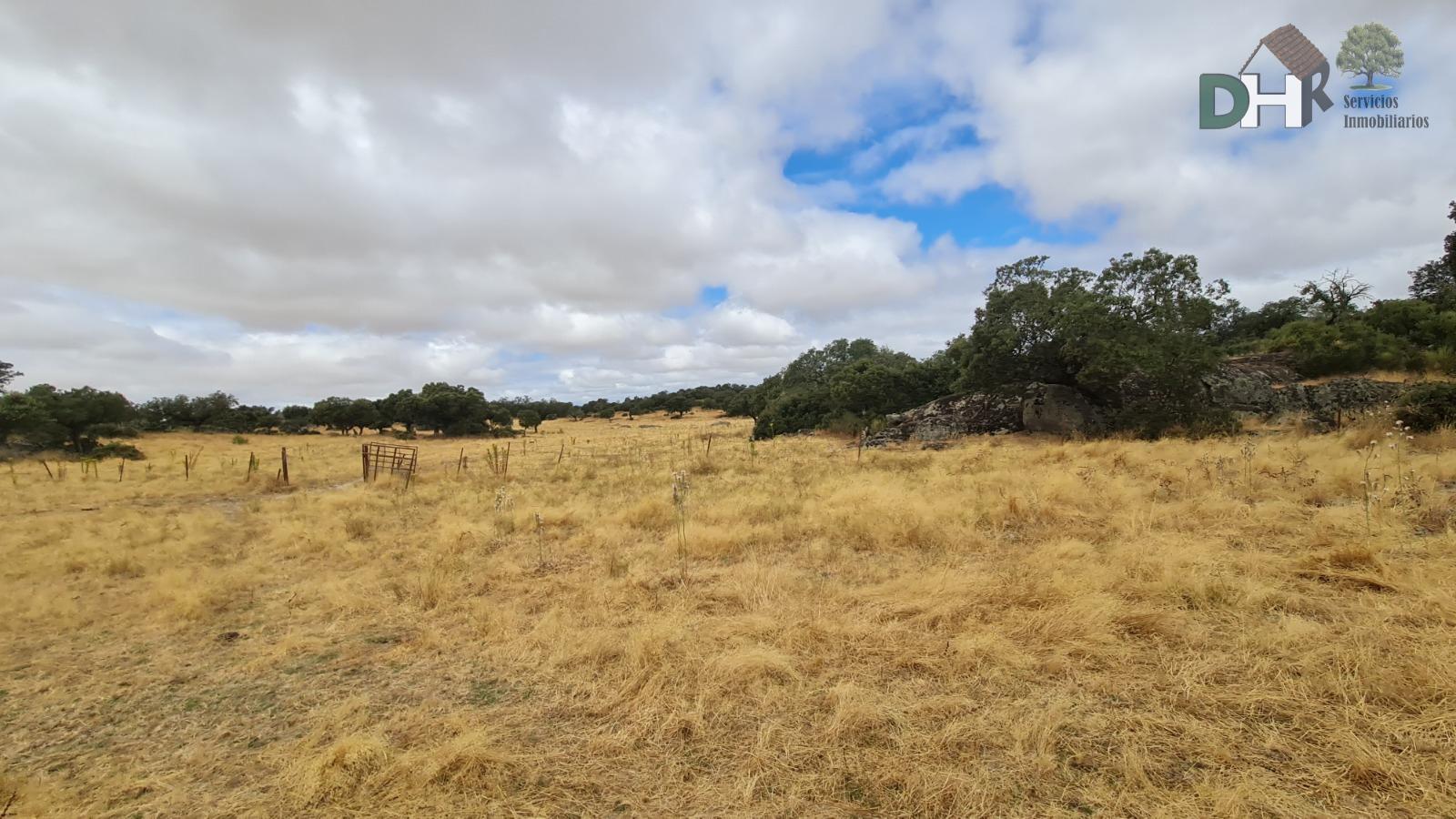 Venta de terreno en Cáceres