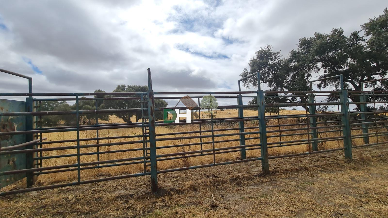 Venta de terreno en Cáceres