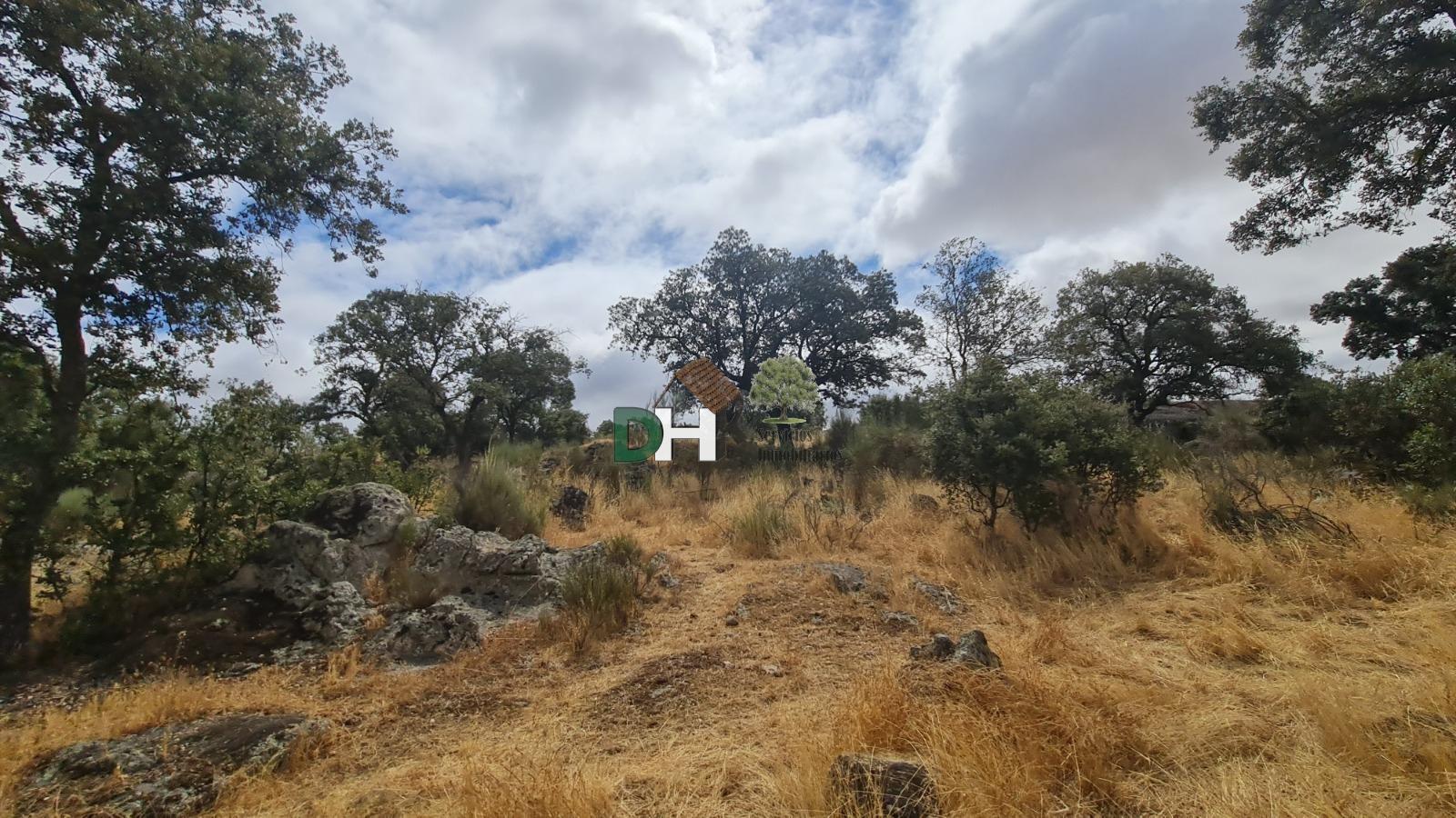Venta de terreno en Cáceres