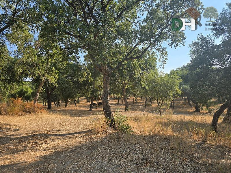 Venta de terreno en Badajoz