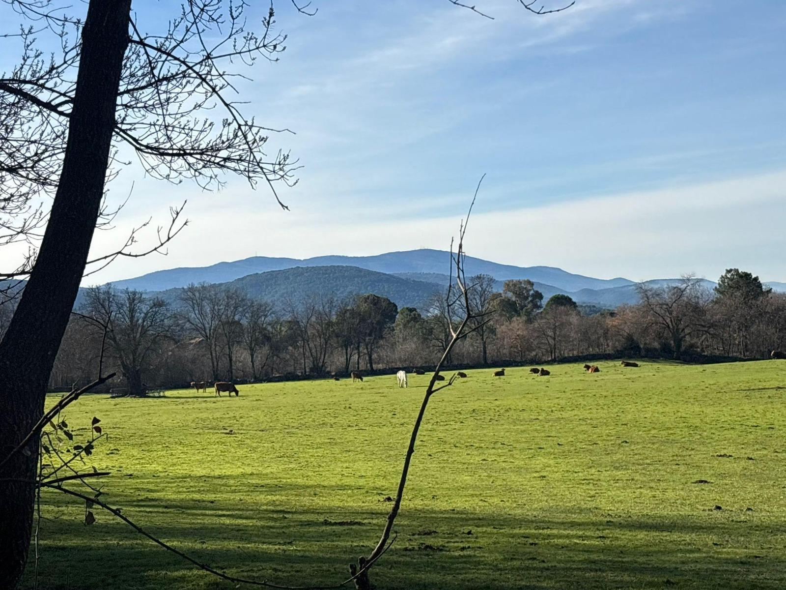 Venta de terreno en Ávila