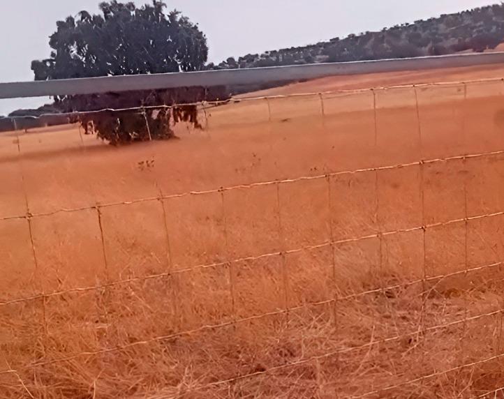 Venta de terreno en Badajoz