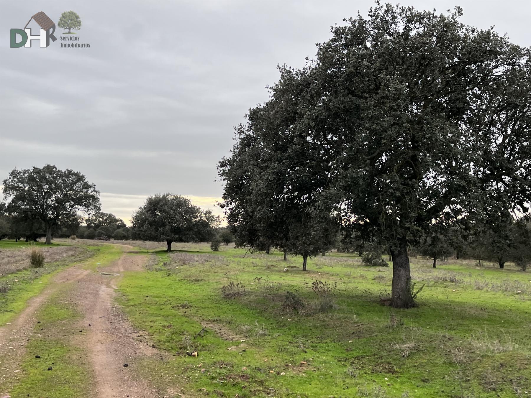 Venta de terreno en Badajoz