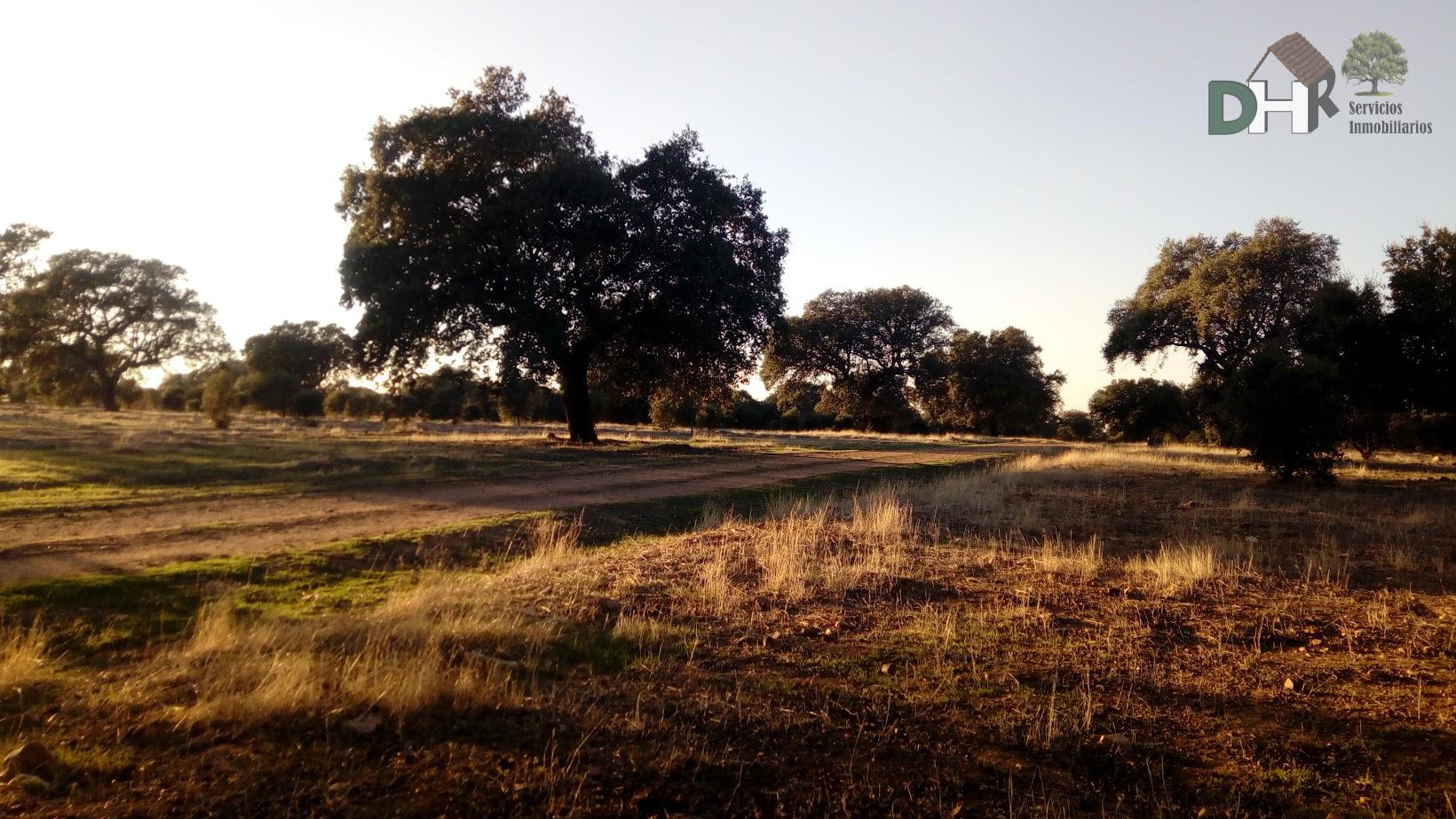 Venta de terreno en Badajoz