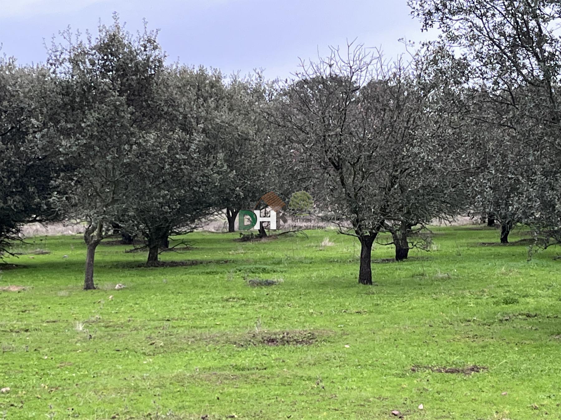 Venta de terreno en Badajoz