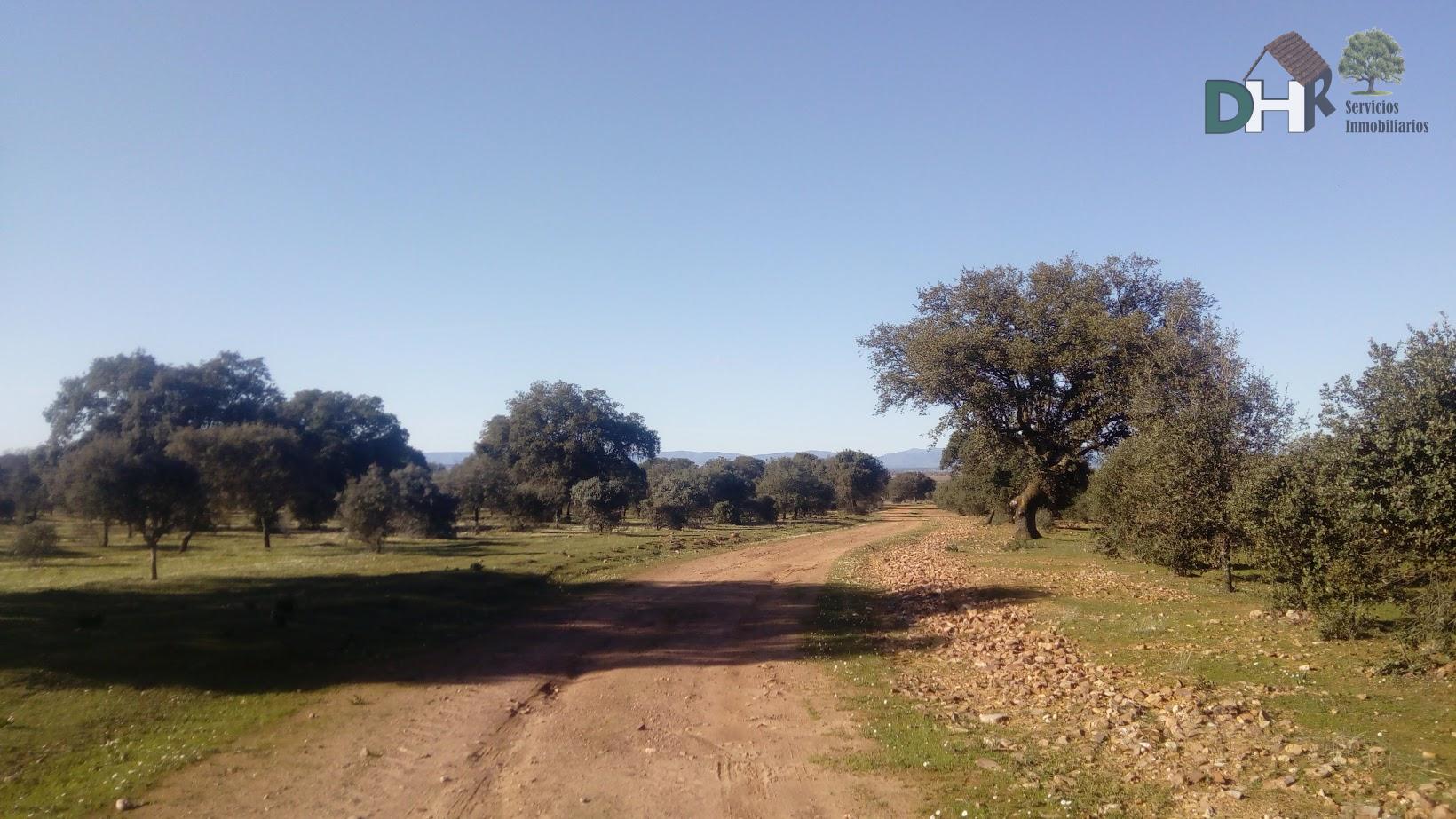Venta de terreno en Badajoz