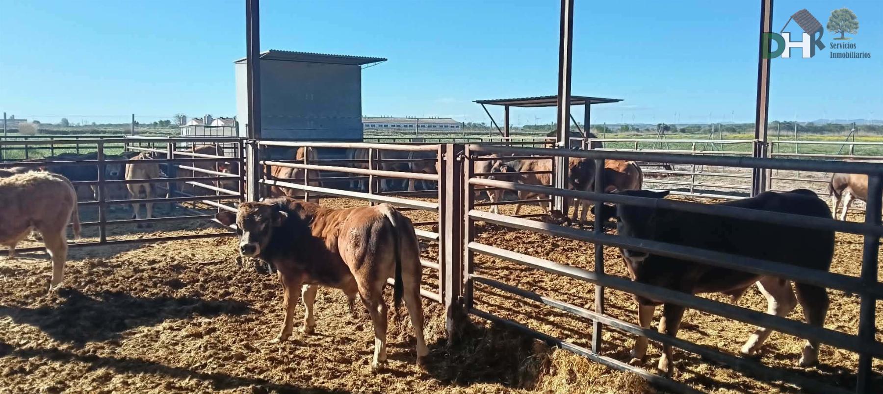 Venta de terreno en Zaragoza