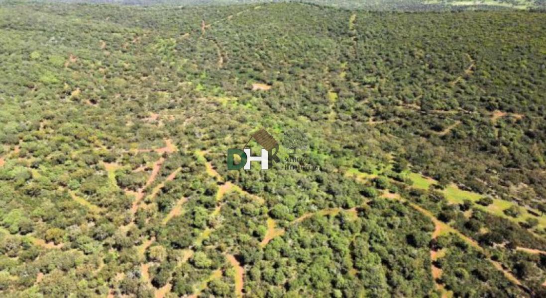 Venta de terreno en Cáceres