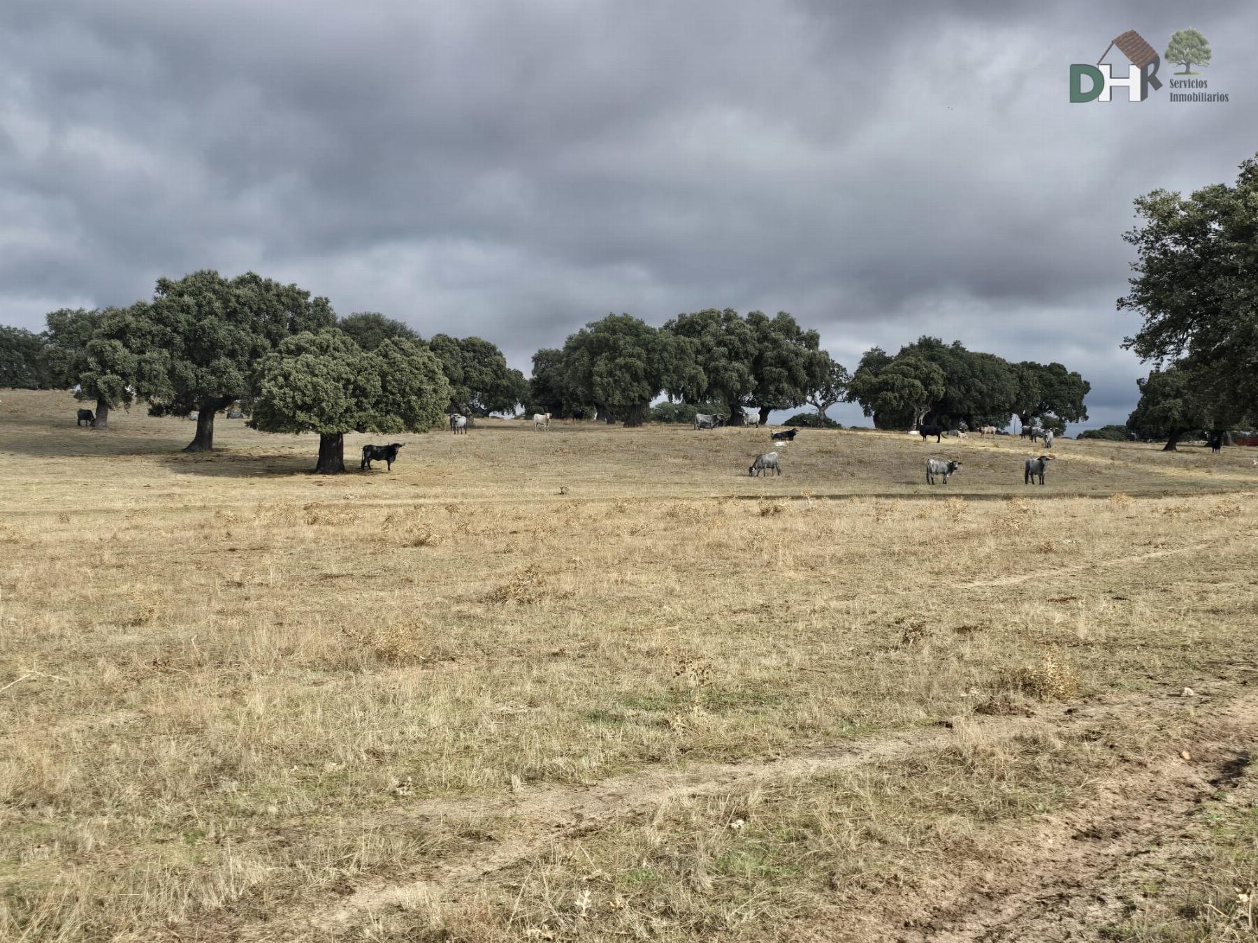 Venta de terreno en Salamanca