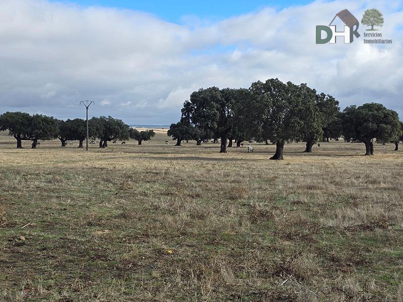 Venta de terreno en Salamanca