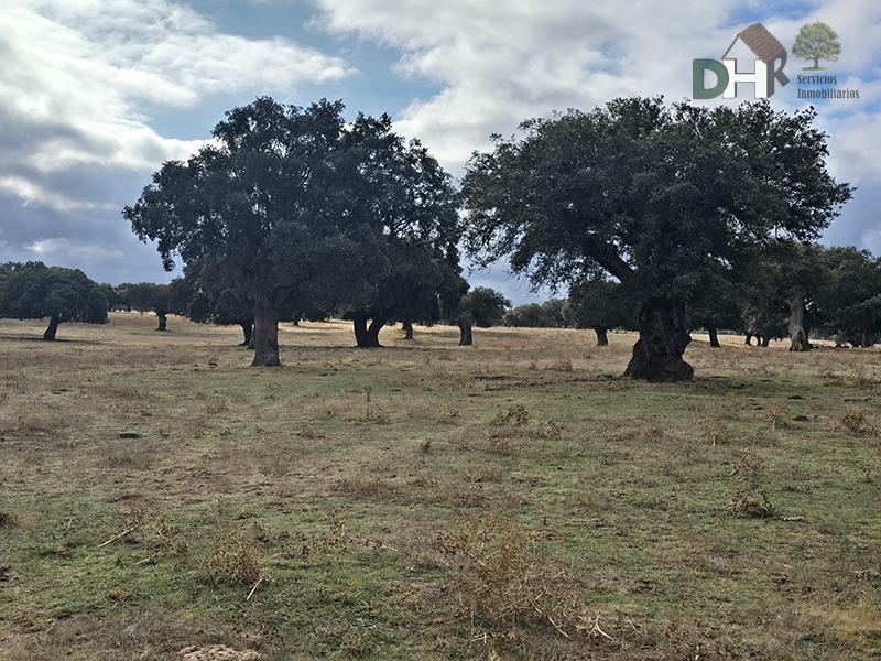 Venta de terreno en Salamanca