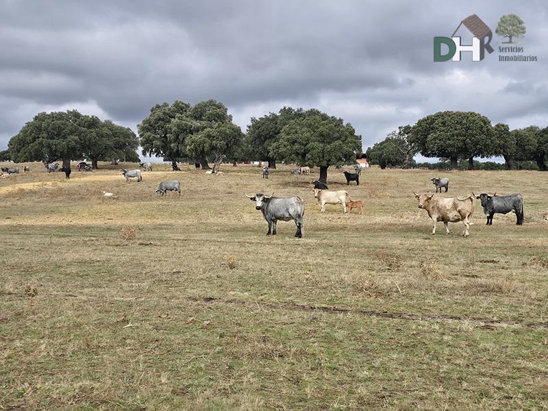 Venta de terreno en Salamanca