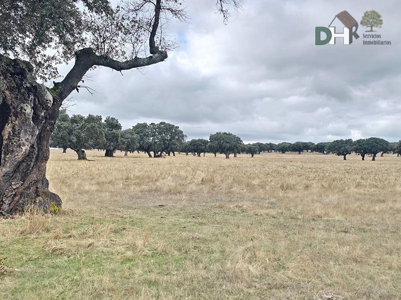 Venta de terreno en Salamanca