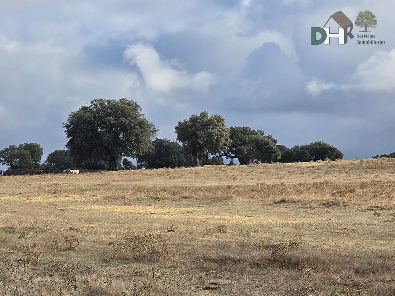 Venta de terreno en Salamanca