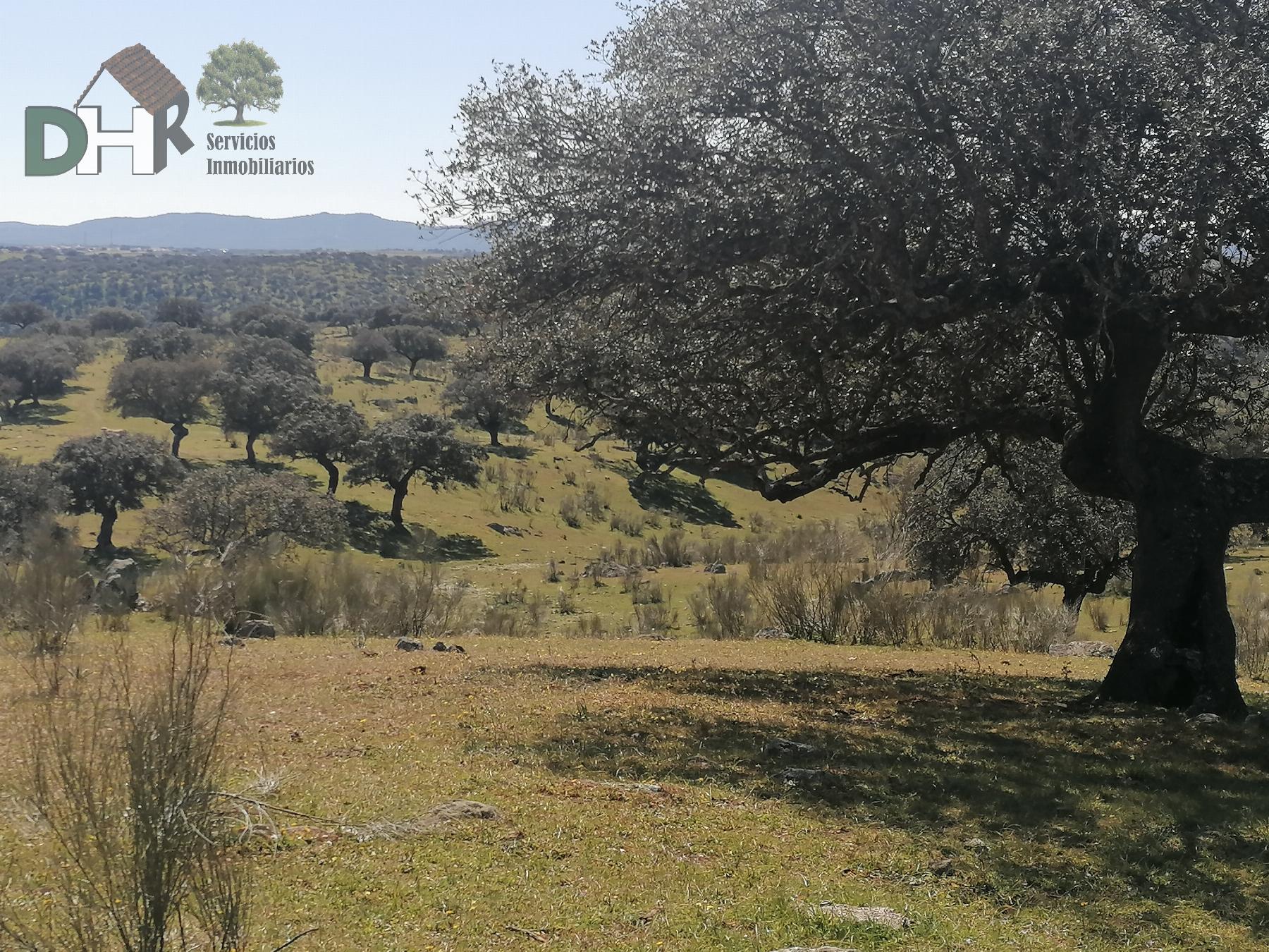 Venta de terreno en Cáceres