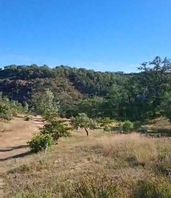 Venta de terreno en Cáceres