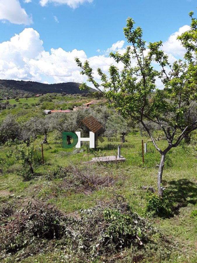 For sale of rural property in Plasencia