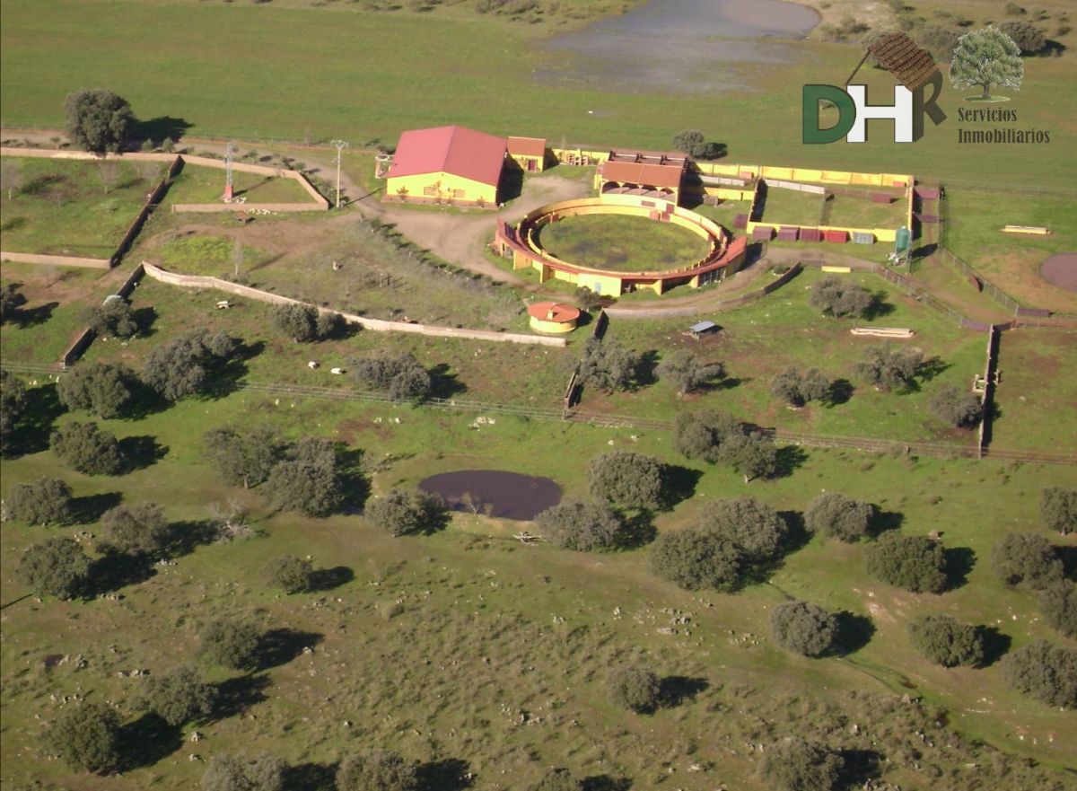 For sale of rural property in Torrejón el Rubio