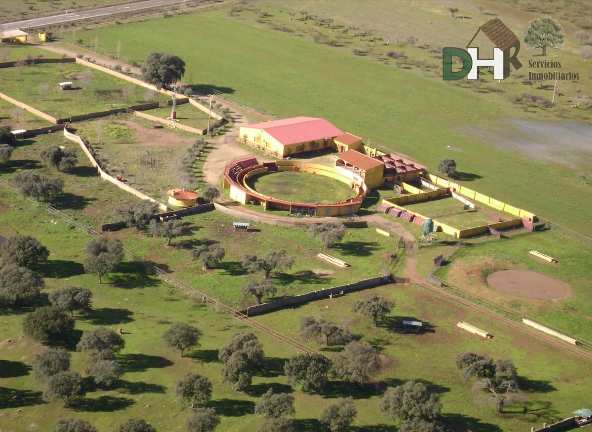 For sale of rural property in Torrejón el Rubio