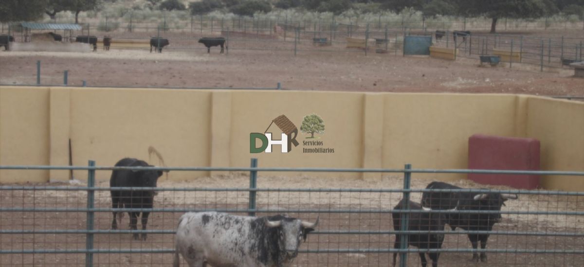 Venta de finca rústica en Torrejón el Rubio