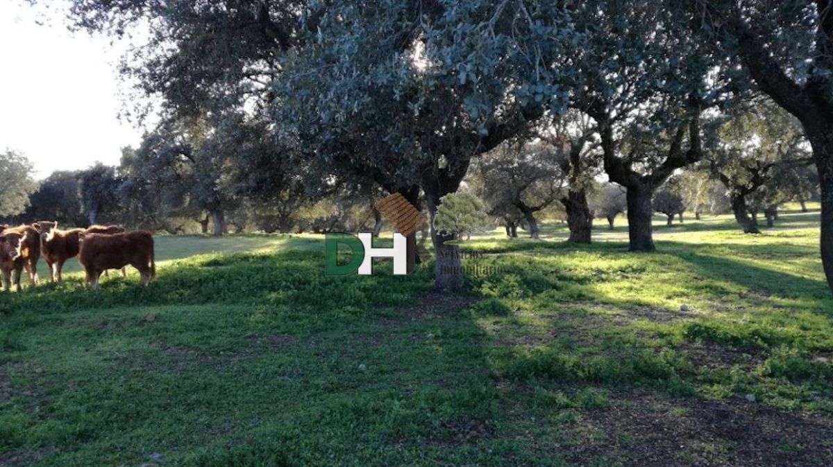 For sale of rural property in Cáceres