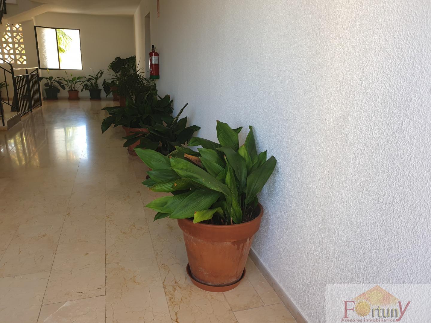 For sale of flat in Almuñécar