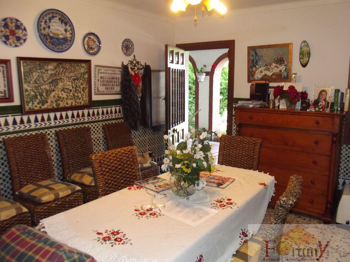 For sale of rural property in Alcaucín