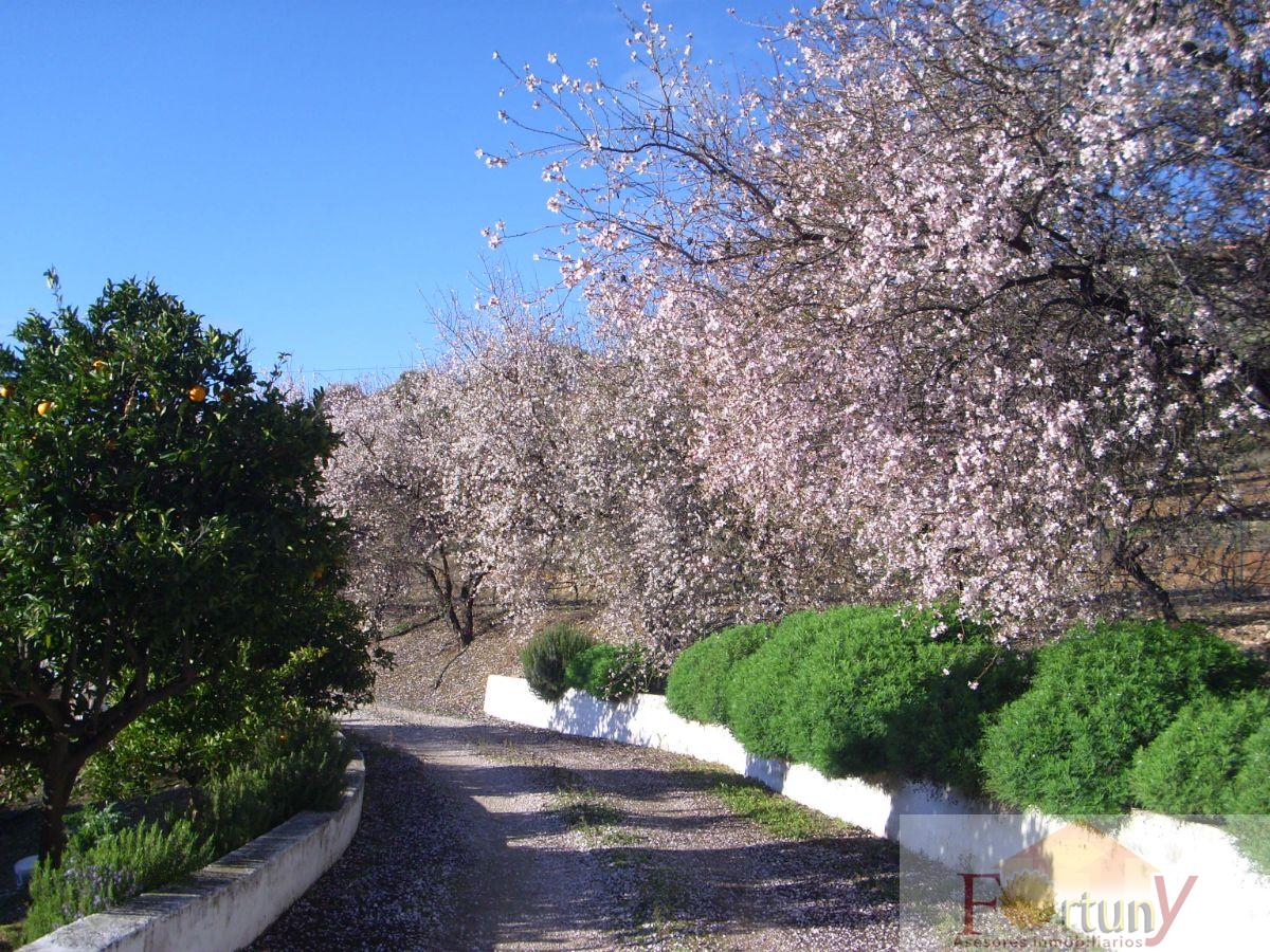 Venta de finca rústica en Alcaucín